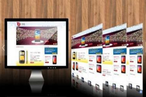 電商網(wǎng)站建設(shè)